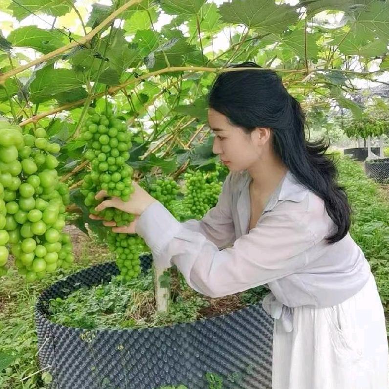 刘小妹水果甄选