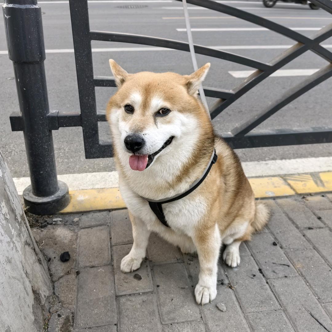 满山泼猴我腚最红♛