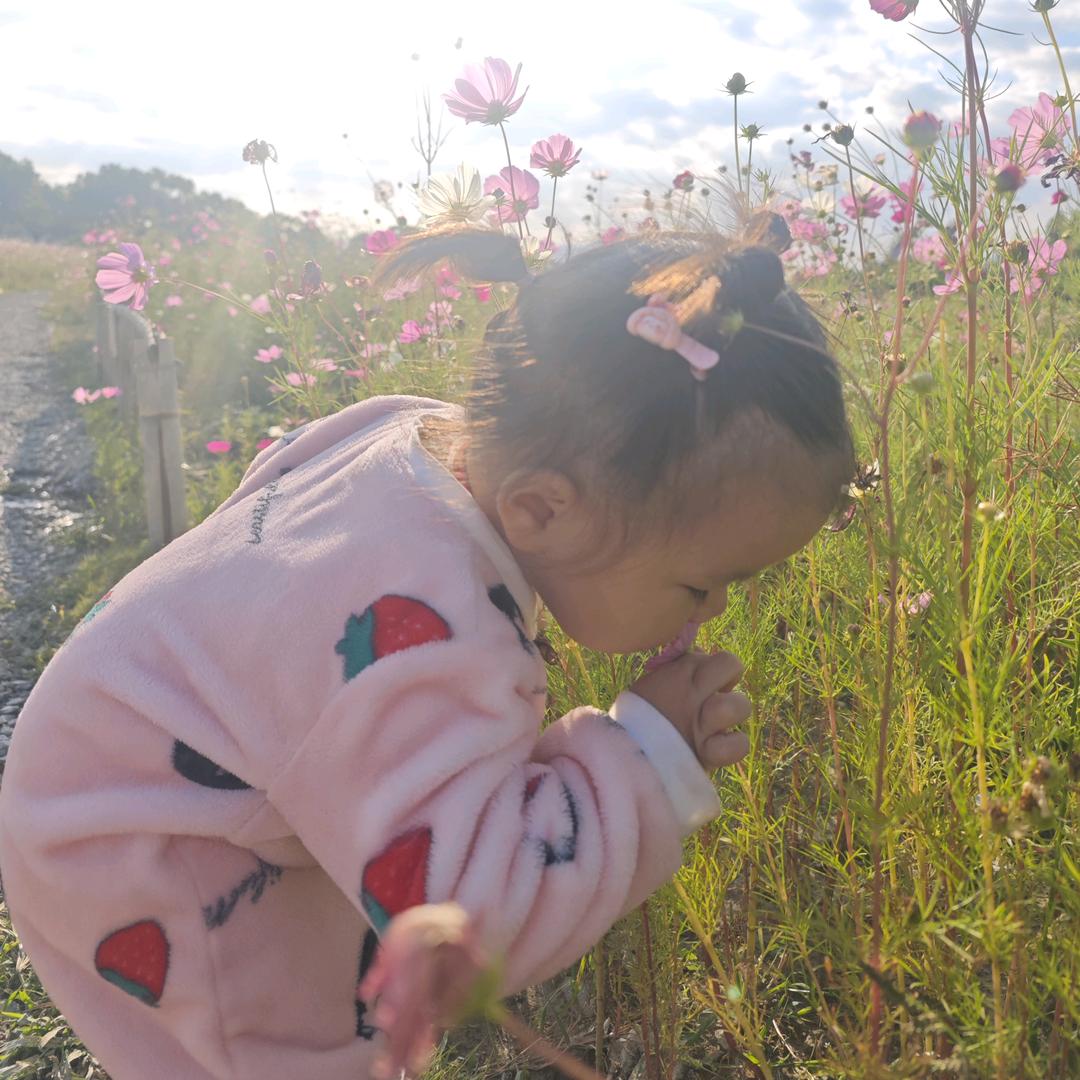 666临海自种草莓