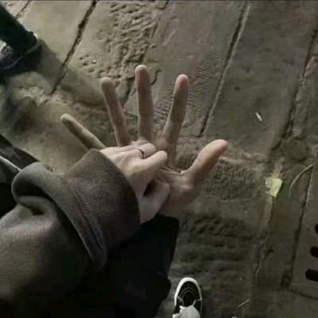 鑫鑫