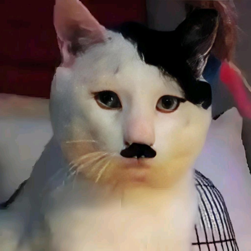 费费艾费费