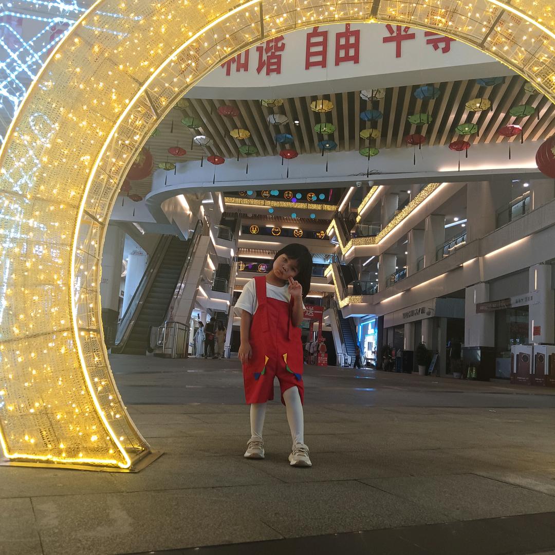 腾冲双虎大家居段生红