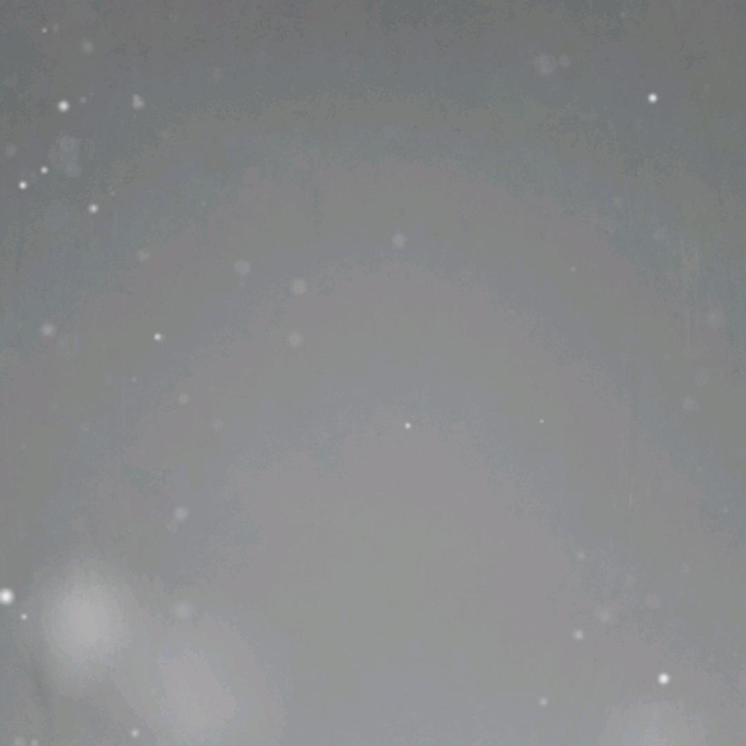 天天摸盘盘