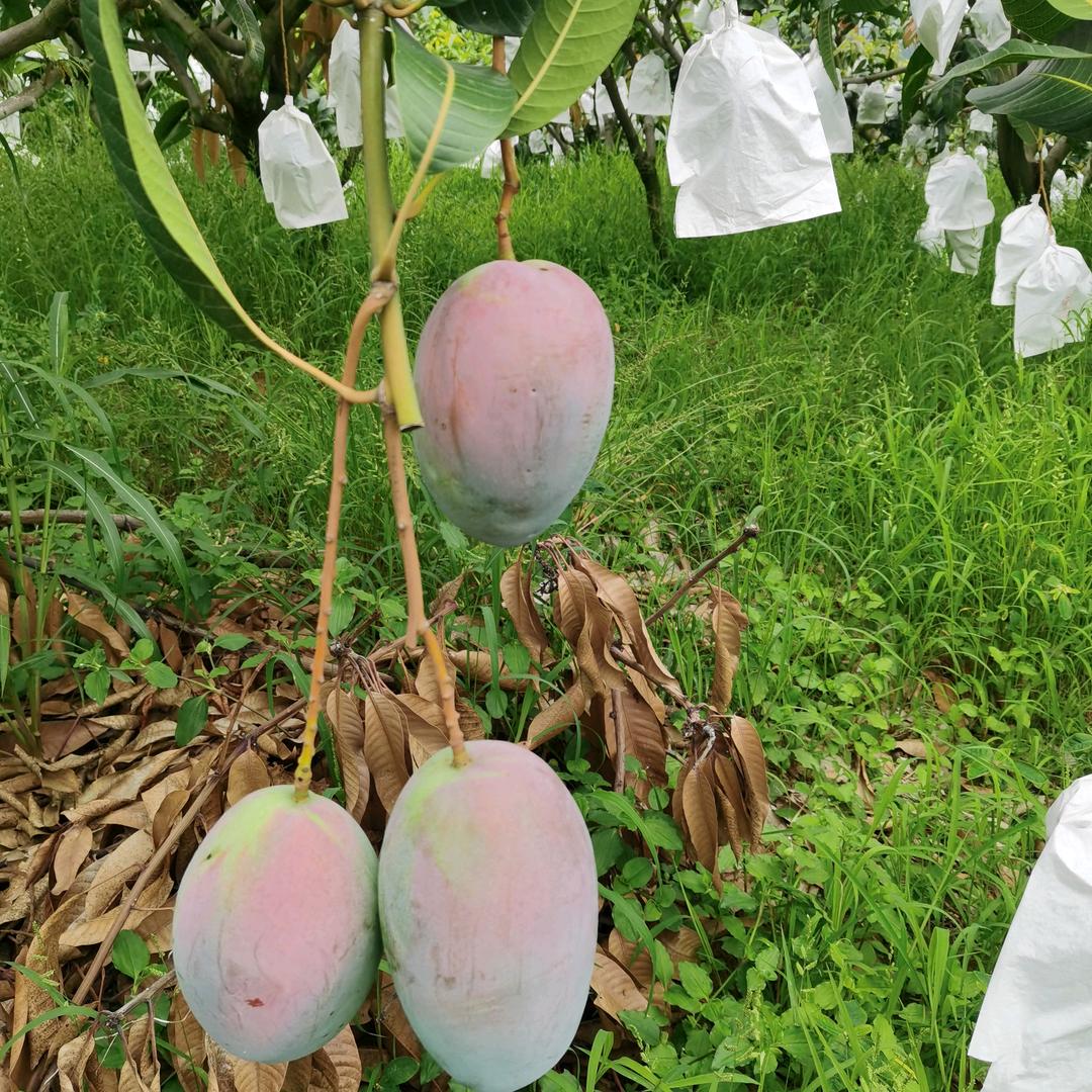 自己关心关心一下我