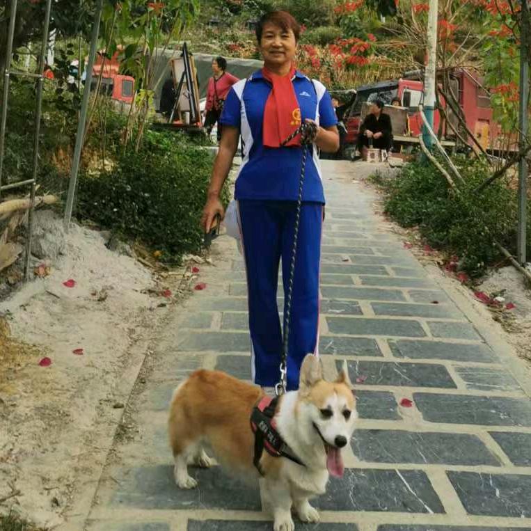 果果