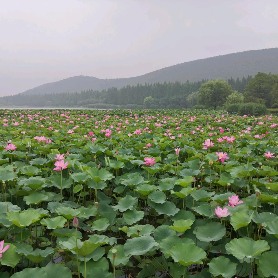 阿刚跑步要穿鞋