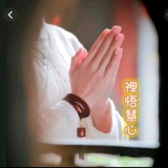 禅悟慧心
