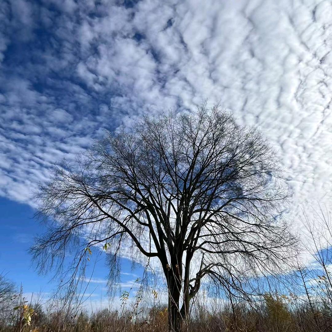 延时太阳贪玩不想下班