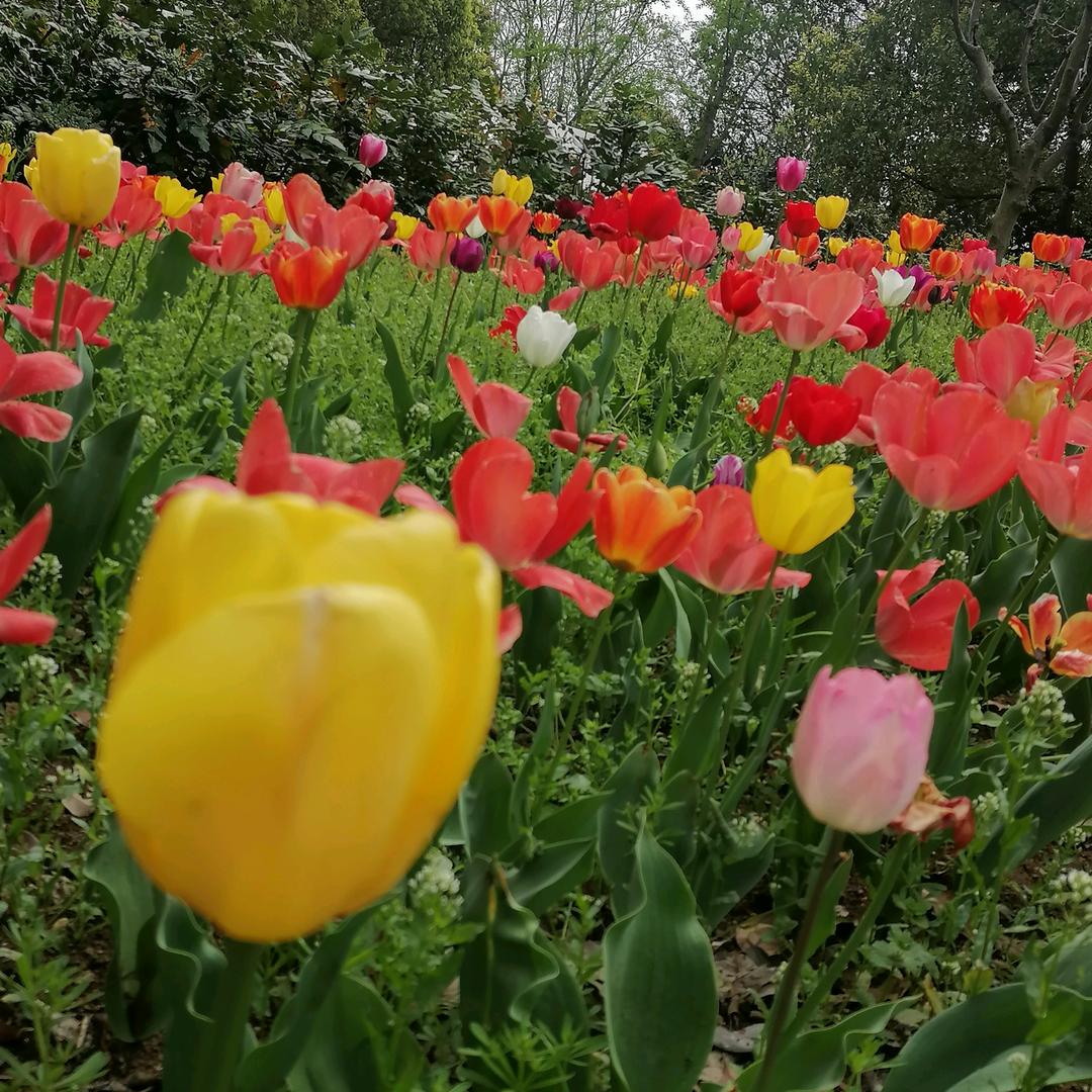 🌸春华秋实🌸