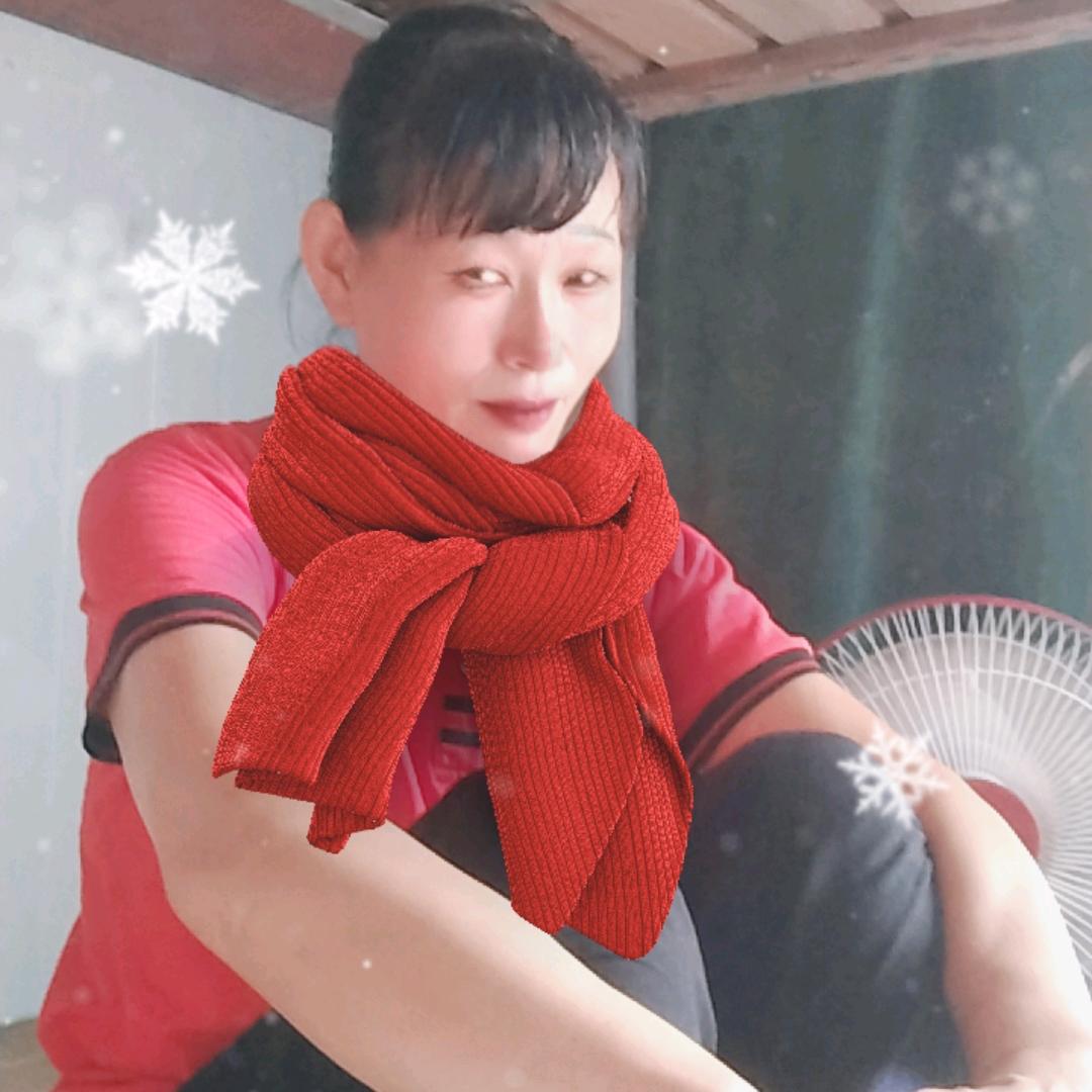 野狼的女人