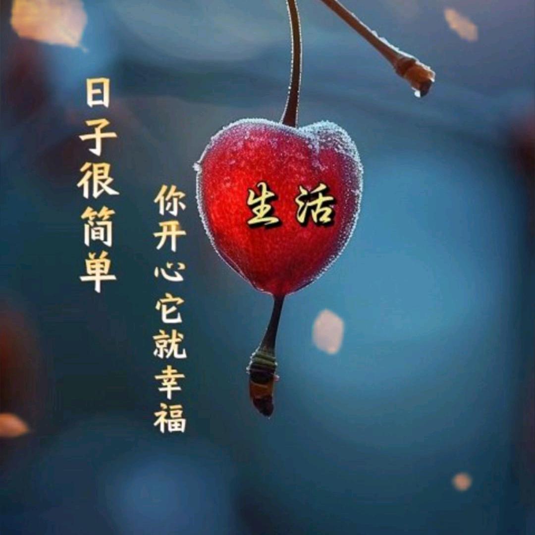 春天哥