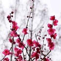 出门见喜