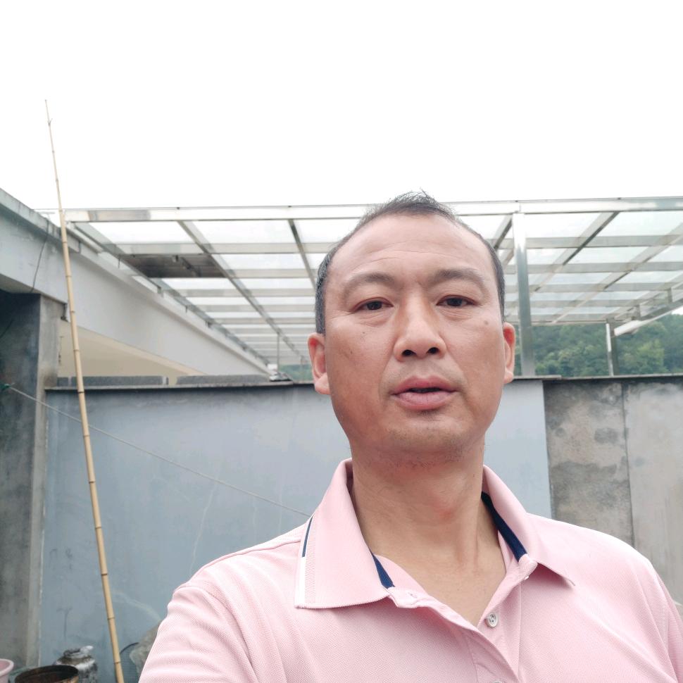 岁寒知松柏