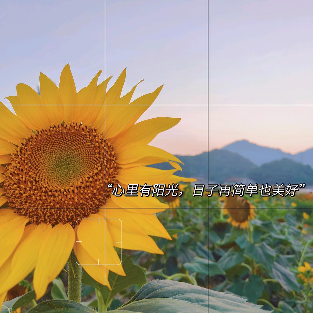 陈菇娘🌷