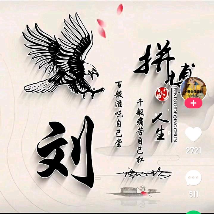 拼博人生
