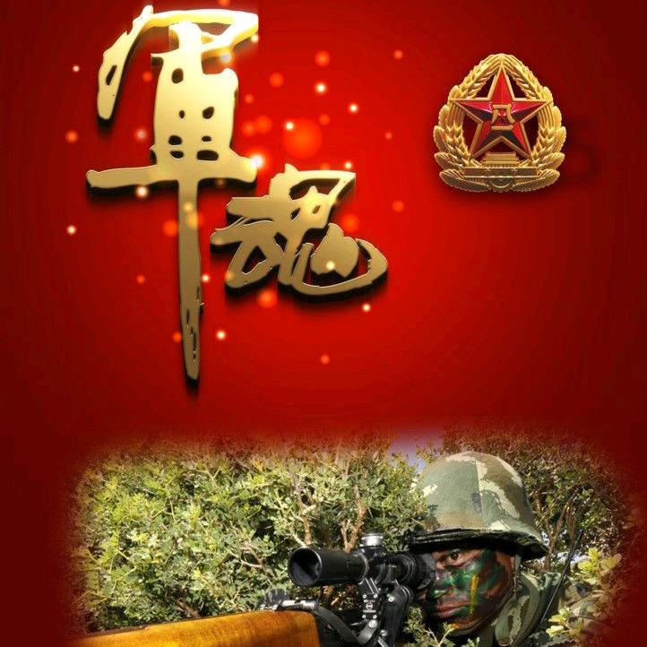 军魂（若有战，召必回）