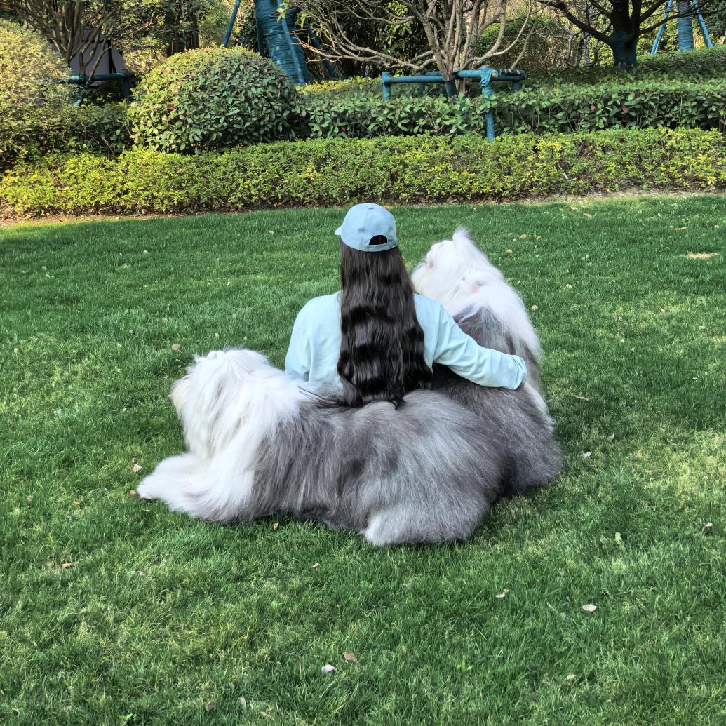 Oscar和Molly是古牧吖