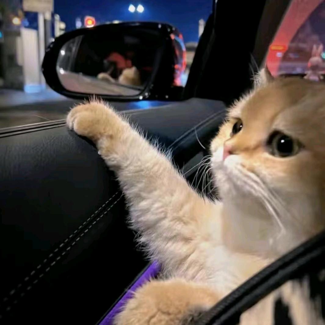予