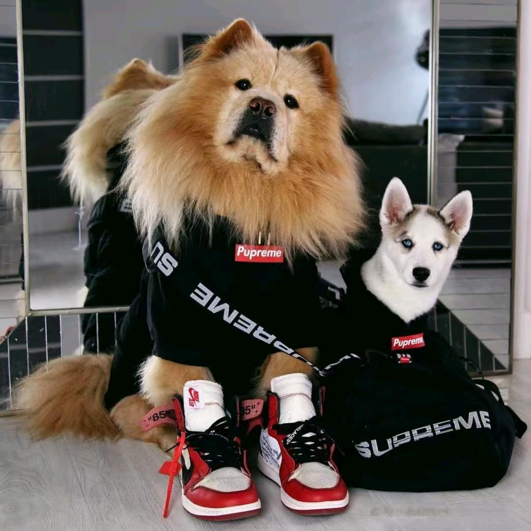 濮大明天蹬什么（潮鞋）