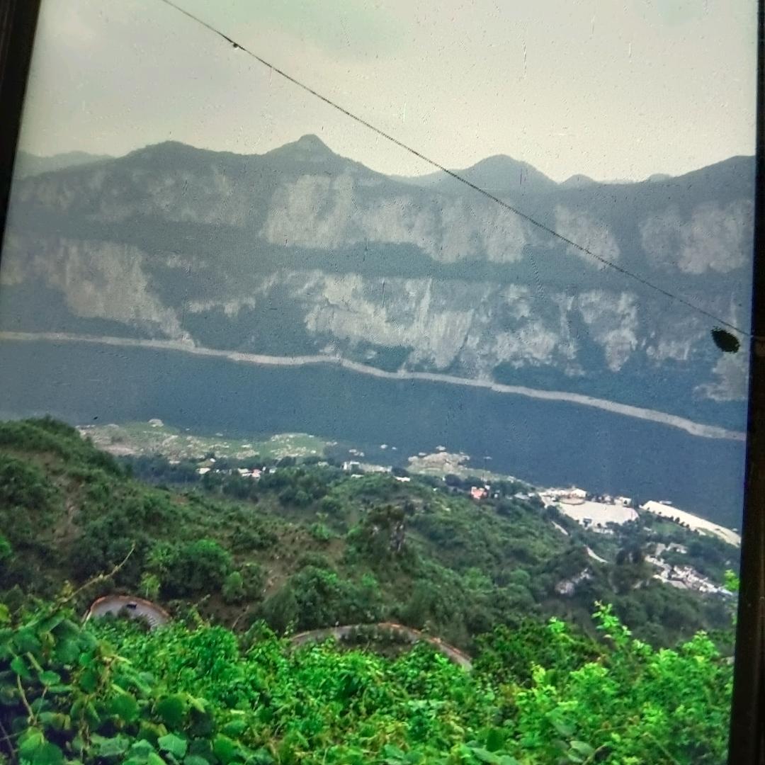 我真心对我真心的人。王