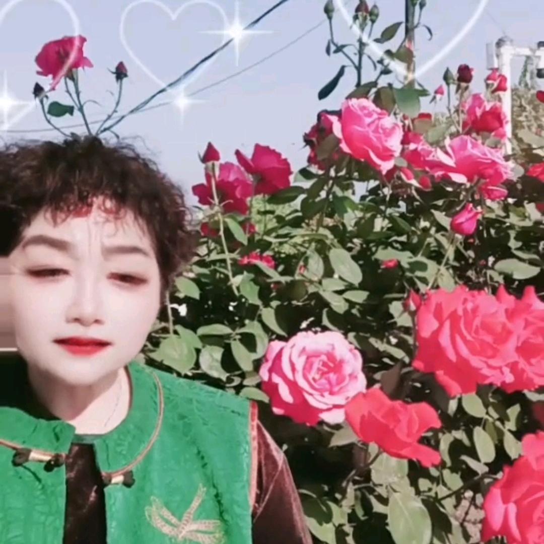 戴秀英