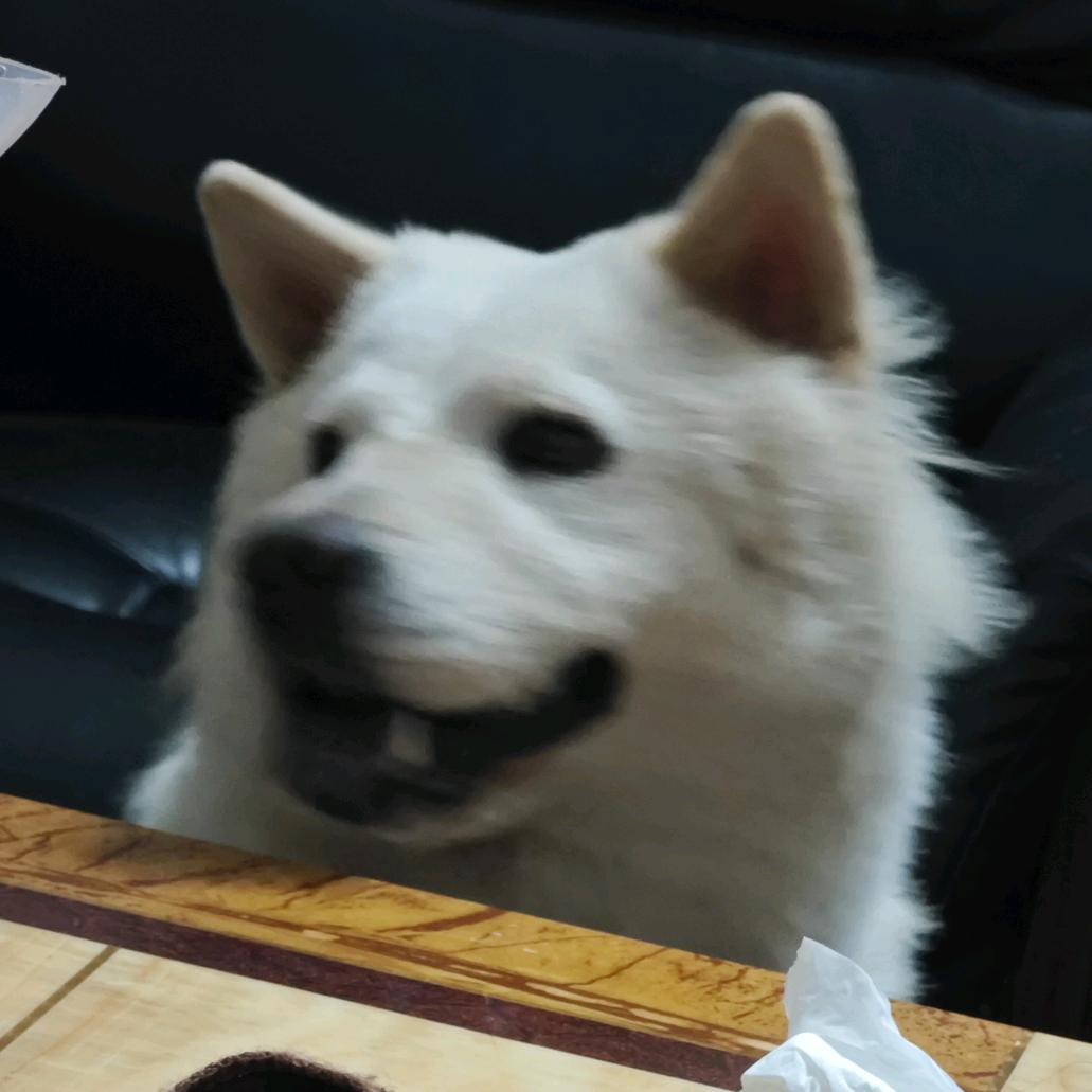 凉百万l