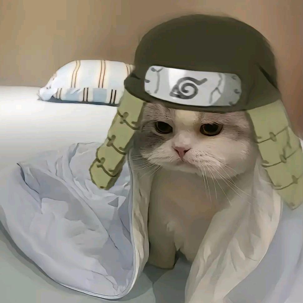 Harnk