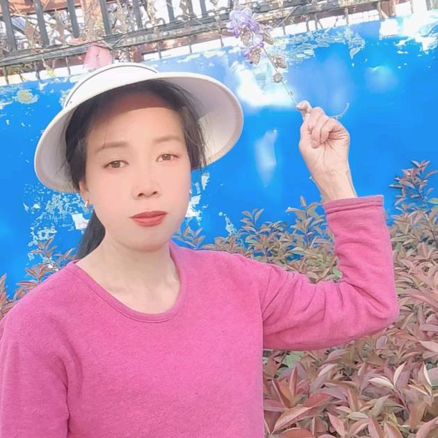 冬日暖阳