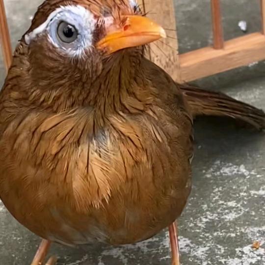 我的未来