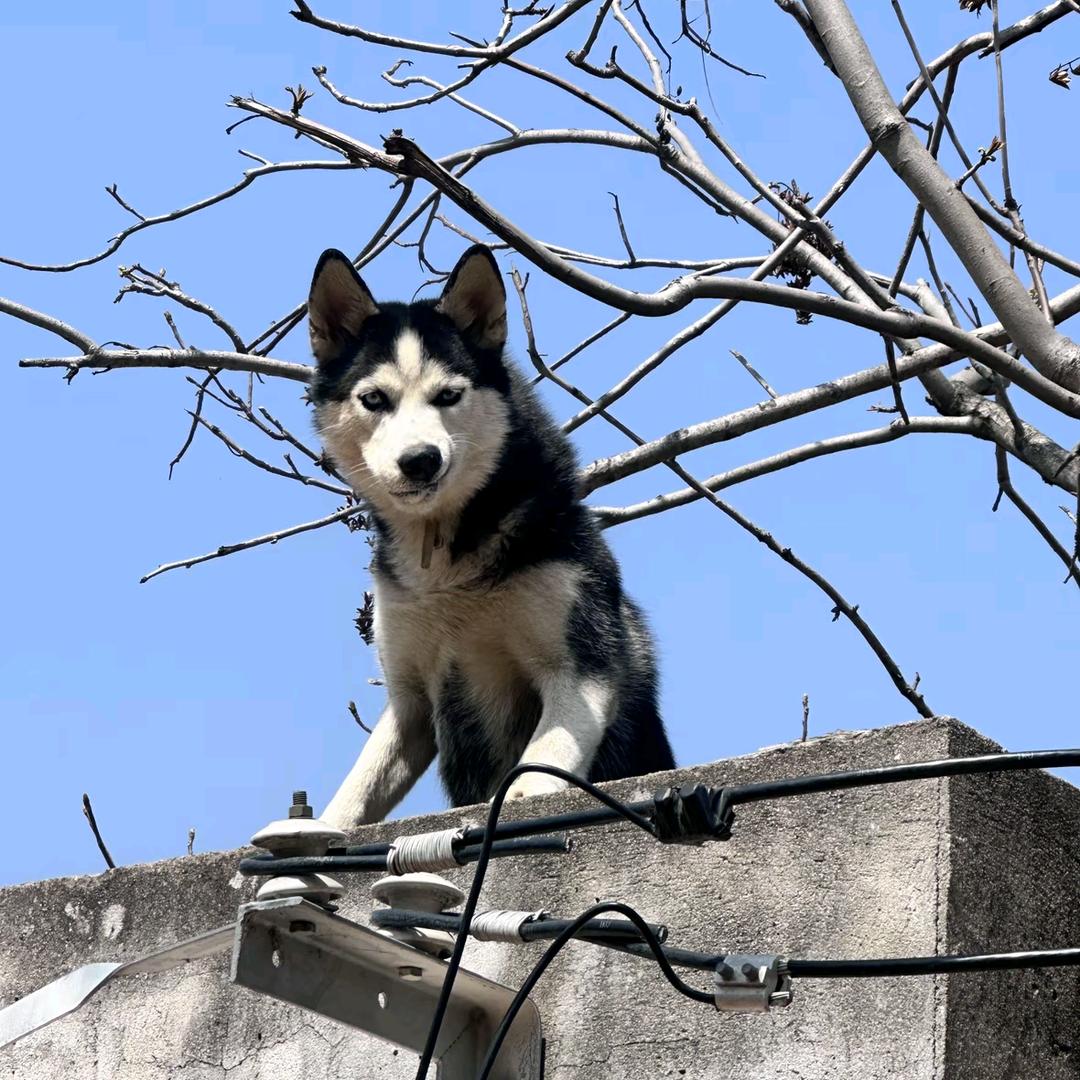 无惧