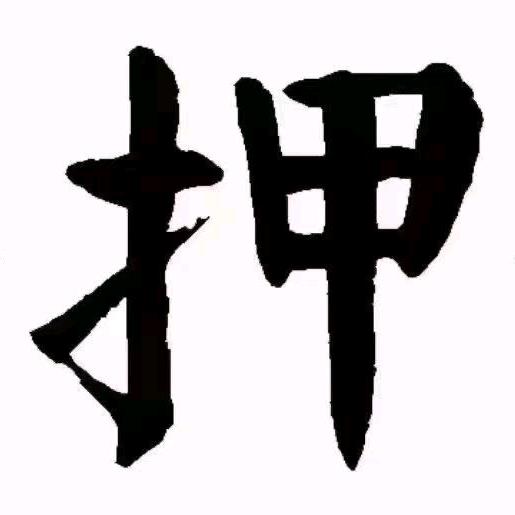 💰万物入押簿💰