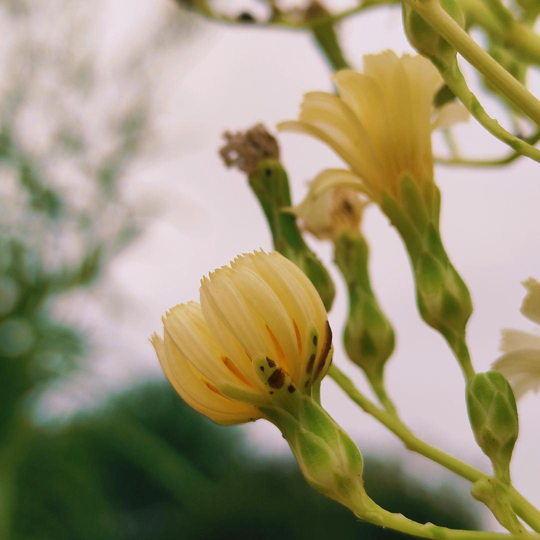 搬砖也有小浪漫