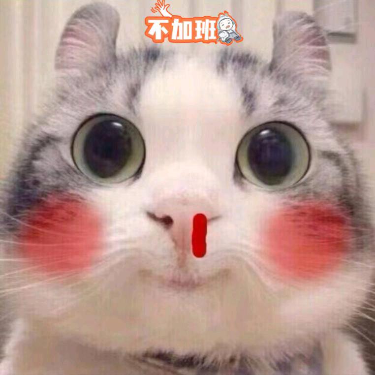 (｡･ω･｡)ﾉ♡来了哟