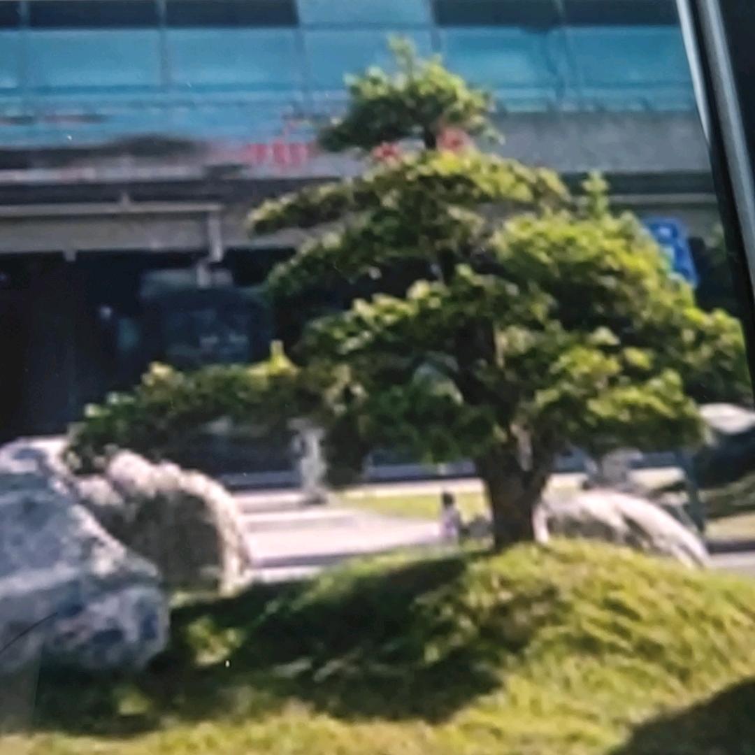 万马奔腾嘟嘟
