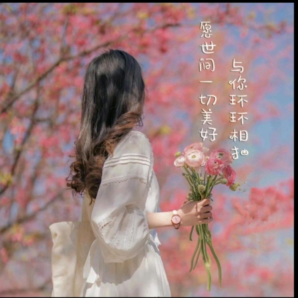 🥀꒰ঌ𓆩無詽𓆪໒꒱