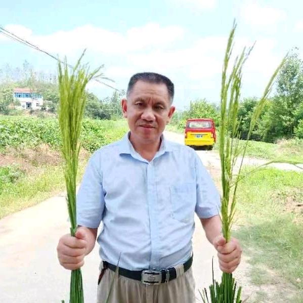上农夫（提质增产达人）