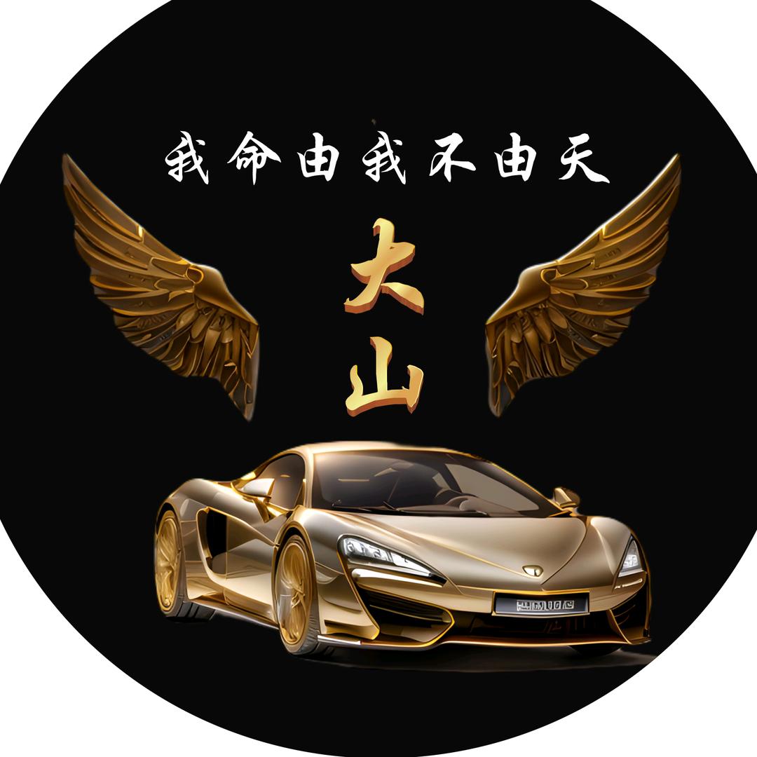 大山✨《随时在线》