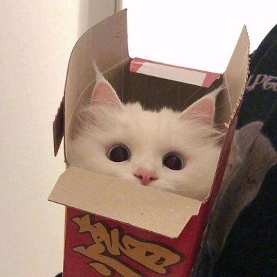 毎日消息