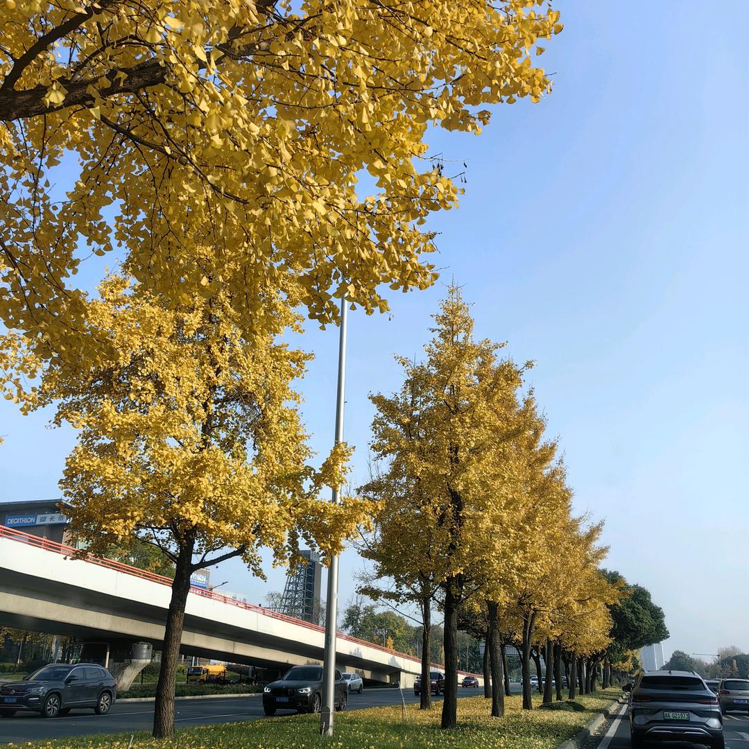 爱宝丽家五洋女鞋专卖店