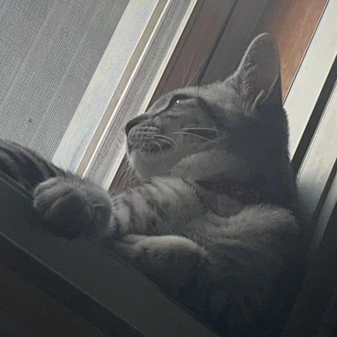 凨