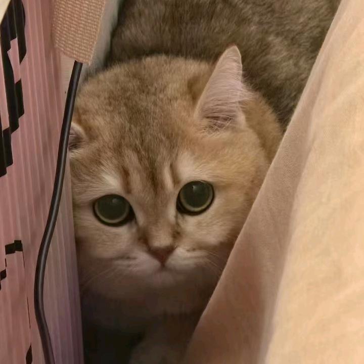 漂漂与泡泡的美好生活