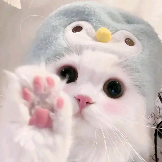 萌物星球