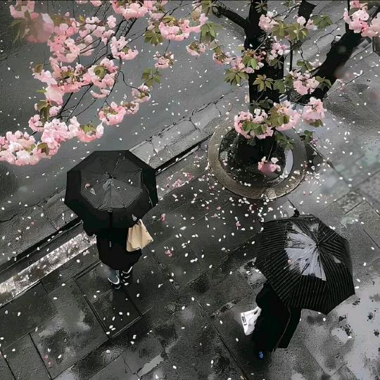 来年春渐别