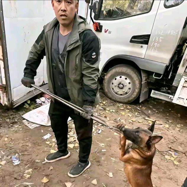 AAA专业套狗周师傅（专套舔狗）