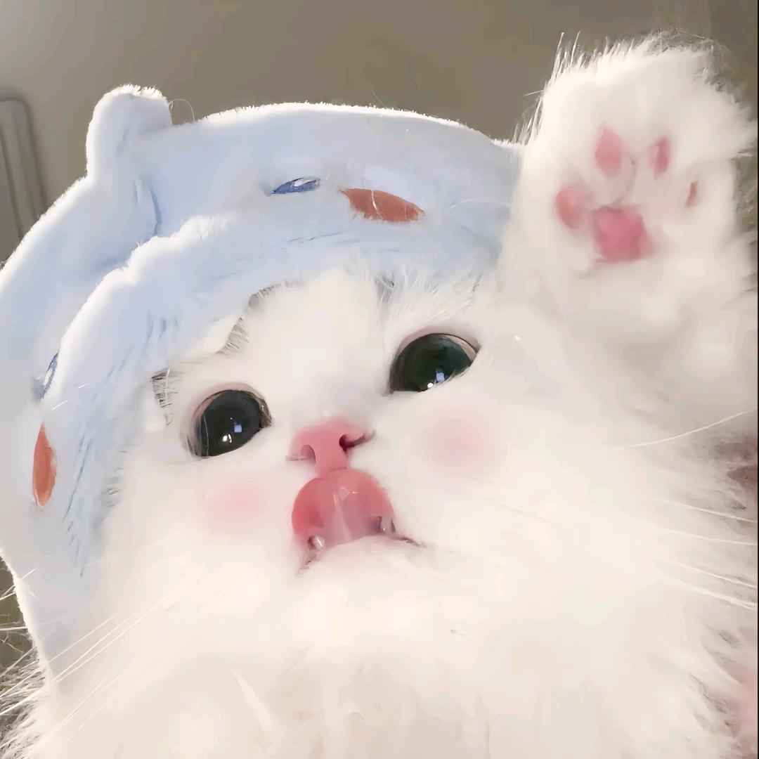 小汤圆🥰