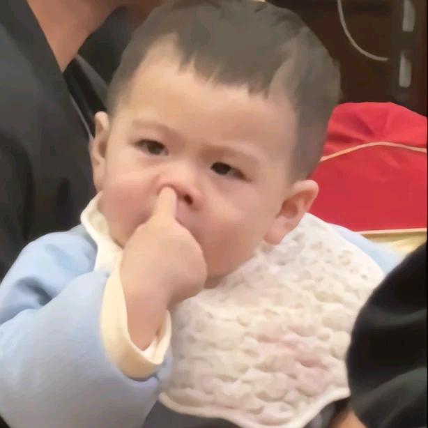 ฅ^•ﻌ•^ฅ