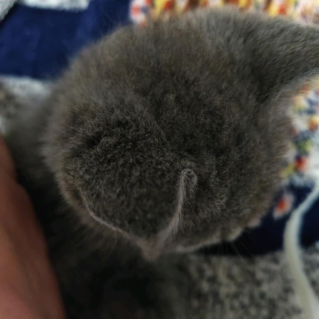 平姐