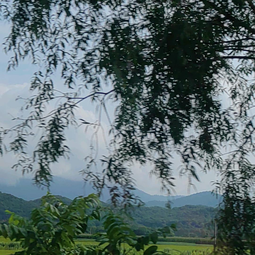 坏女孩（崩坏星穹轨道）