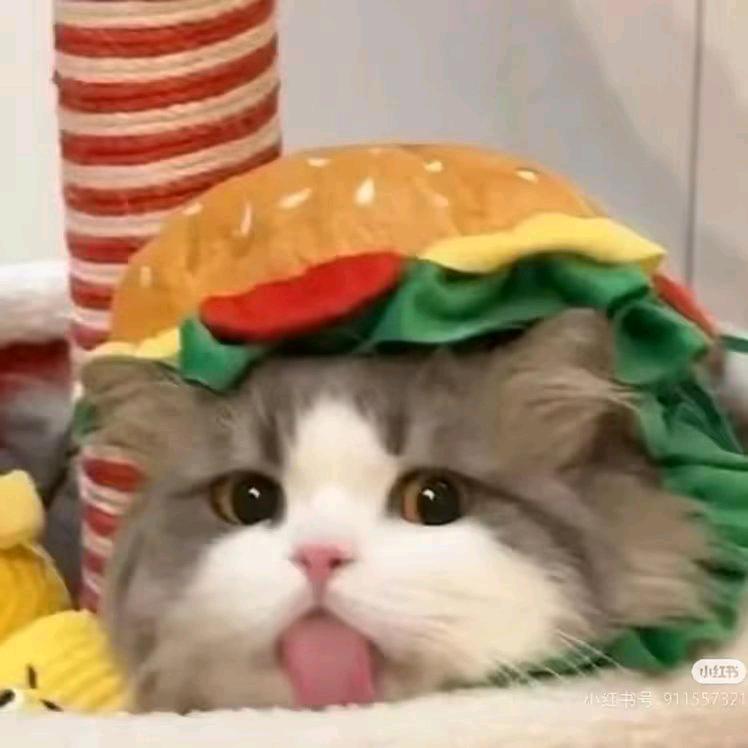 ....................