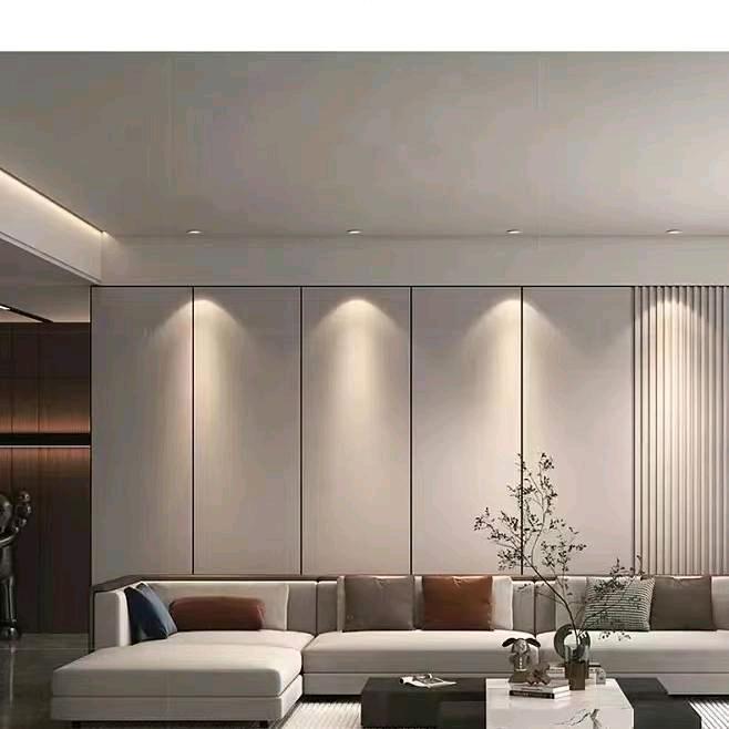 晶利豪照明（罗格朗开关）